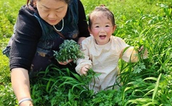 国产丰满老熟妇乱XXX